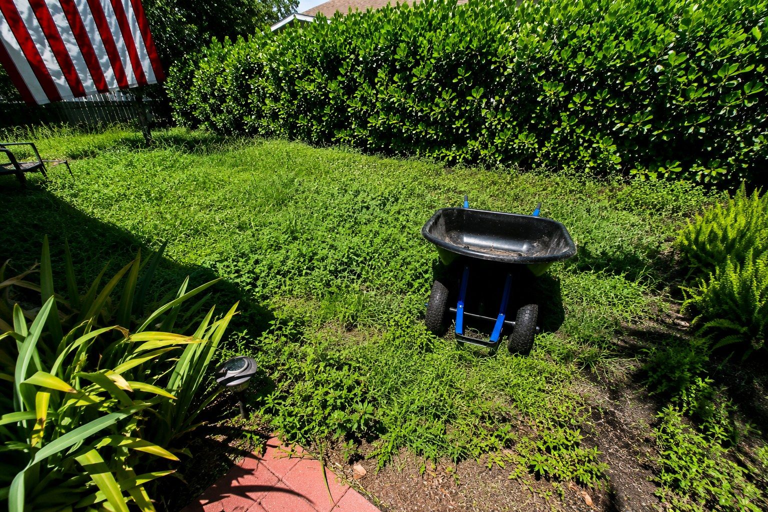 Patchy overgrown front lawn before service